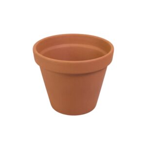 Vaso de Barro Borda (G)