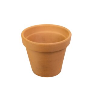Vaso de Barro Borda (M)