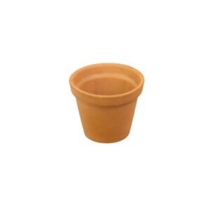 Vaso de Barro Borda (P)