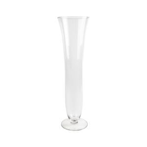 Taça Sion (G)