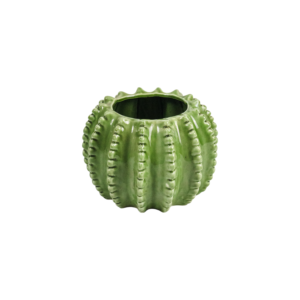 Vaso Cactus (P)